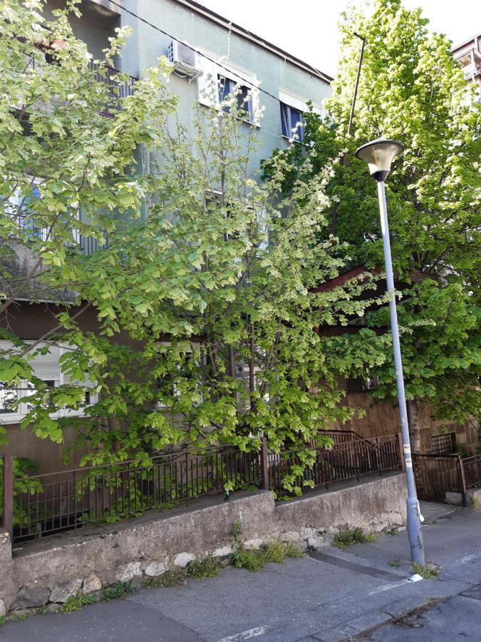 Victor Residence Belgrad Dış mekan fotoğraf